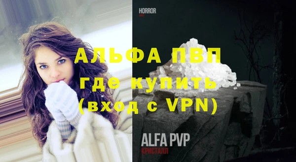 индика Алексин