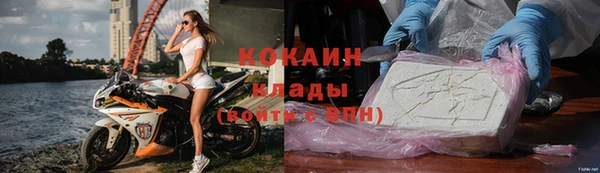 индика Алексин