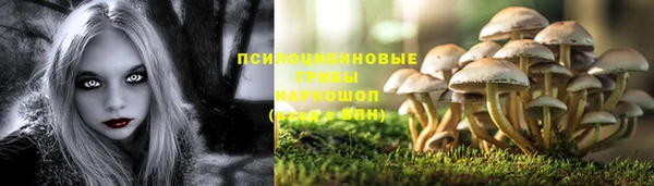 тгк Абинск
