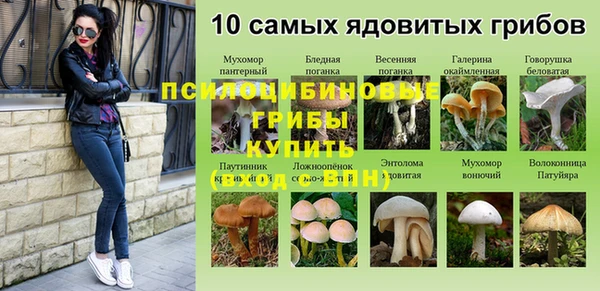 индика Алексин
