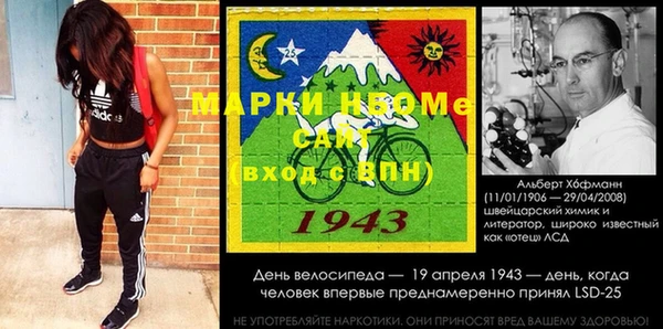 индика Алексин