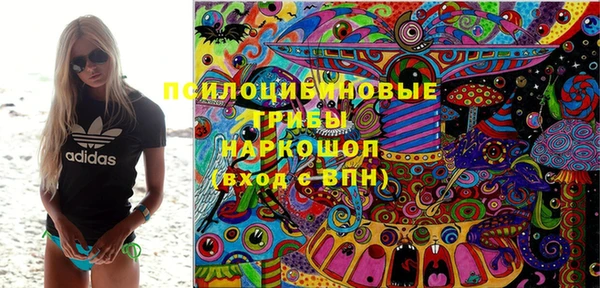 индика Алексин