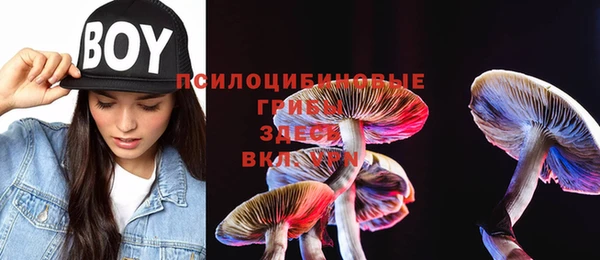 индика Алексин