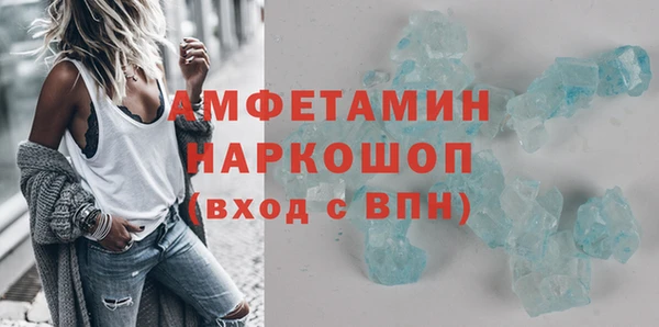индика Алексин