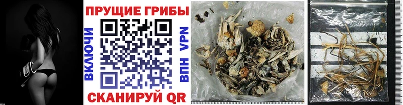 Псилоцибиновые грибы мицелий  Усолье-Сибирское 